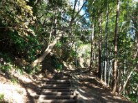 登山道