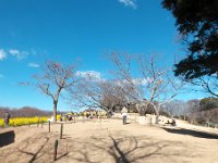 吾妻山公園