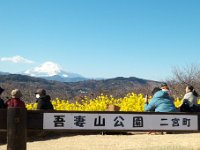 吾妻山公園