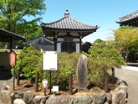 頼朝お手植えのツツジ