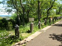 わんぱく広場分岐
