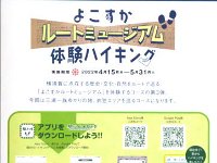 ハイキングパンフレット