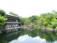 庭園内池