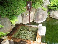 井戸水 わき出てました