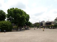 千早フラワー公園