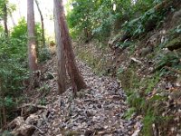 ハイキング路