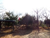 山頂広場