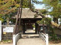 善徳寺