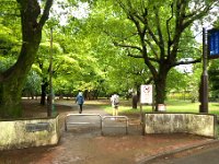 井の頭公園(第二公園)