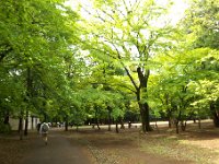 公園内
