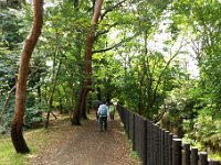 緑道