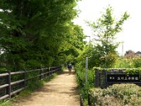 玉川上水緑道