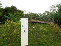 六国見山展望台