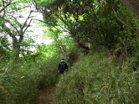 ハイキング路