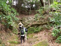 ハイキング路