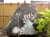 龍