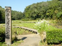 吹上しょうぶ公園