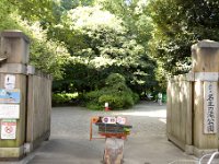 名主の滝公園