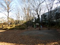 音無くぬぎ緑地