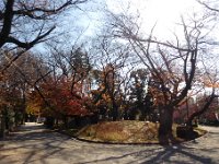飛鳥山公園