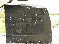 桜名所100選の碑