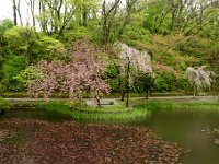 千秋公園