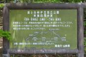 DSC_2131-20110521-512