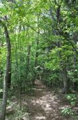 DSC_2136-20110521-512