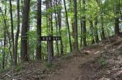 DSC_2146-20110521-512