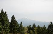 DSC_2180-20110521-512