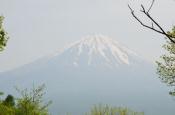 DSC_2198-20110521-512
