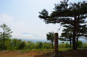 DSC_2213-20110521-512