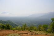 DSC_2223-20110521-512