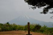 DSC_2230-20110521-512