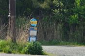 DSC_2238-20110521-512