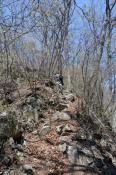 DSC_0254-20130428-512