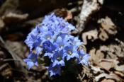 DSC_0277-20130428-512