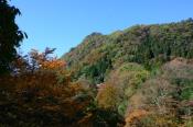 DSC_3716-20161105-512