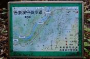 DSC_3746-20161105-512
