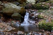 DSC_3752-20161105-512