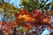 DSC_3760-20161105-512