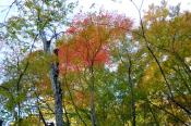 DSC_3779-20161105-512