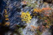 DSC_3808-20161105-512
