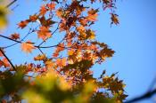 DSC_3861-20161105-512