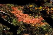 DSC_3906-20161105-512