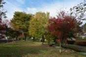 DSC_1211-20131103-512
