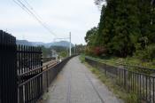 DSC_1225-20131103-512