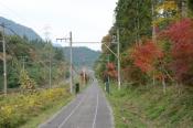 DSC_1242-20131103-512