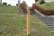 DSC_1245-20131103-512