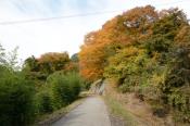 DSC_1267-20131103-512